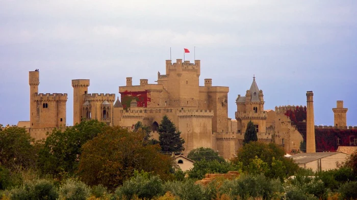 Castillo de Olite img