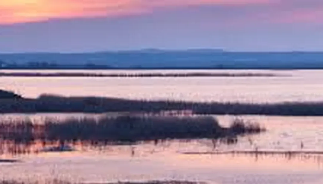 Laguna de Pitillas