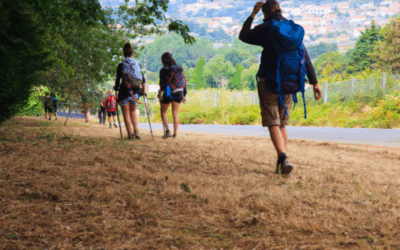 Guía para peregrinos: cómo preparar tu estancia en Los Arcos