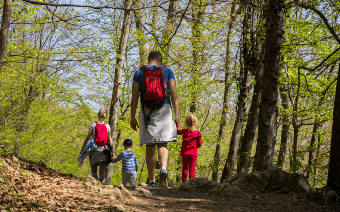 Actividades para niños y familias en Los Arcos