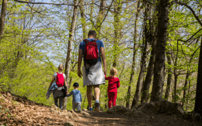 Actividades para niños y familias en Los Arcos