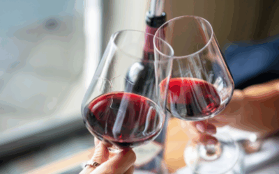 Cata de vinos y tapas en Los Arcos: sabor navarro con encanto