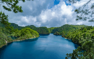 Laguna de las Navas
