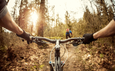 Viajar en bicicleta por la Ribera navarra: consejos para tu escapada