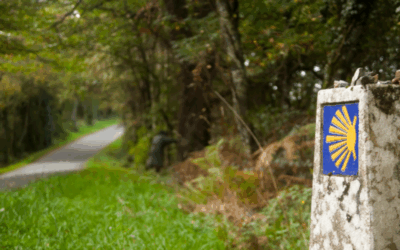 El trayecto del Camino de Santiago en Los Arcos